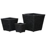 vidaXL Lits surélevés 3 Pièces Jacinthe d'eau Noir