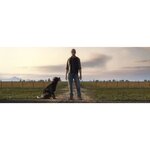 Farming Simulator 19 Édition Premium Jeu PS4