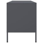 vidaXL Meuble TV anthracite 100 5x39x50 5 cm acier