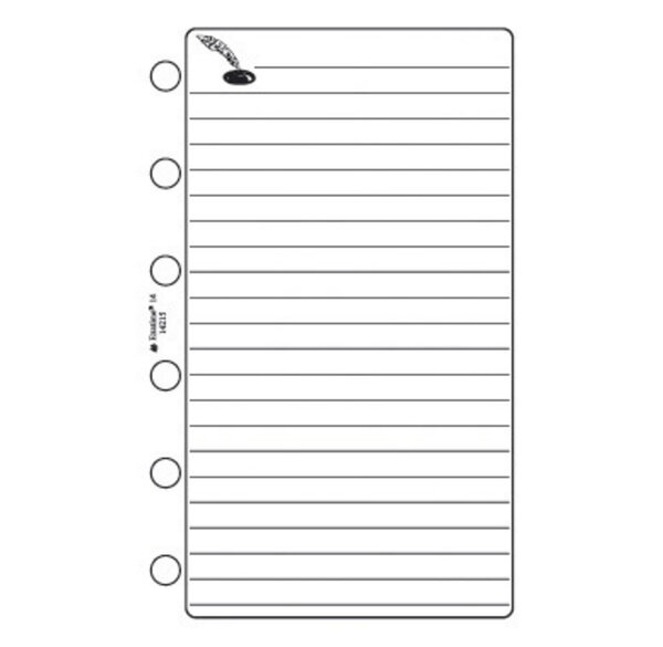 Recharge accessoire Exatime 17 notes 47 feuillets 172x105 mm EXACOMPTA