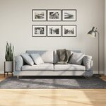 vidaXL Tapis HUARTE à poils courts doux lavable anthracite 120x170 cm