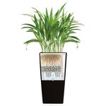 LECHUZA Jardinière Cubico 40 ALL-IN-ONE Charbon 18194