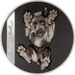Pièce de monnaie en Argent 5 Dollars g 31.1 (1 oz) Millésime 2025 Underlook UNDER DOG