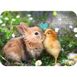 Carte Bisou Surprise Lapin Et Poussin - Draeger paris