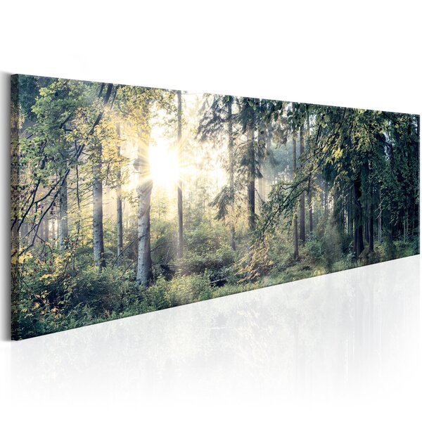 Tableau - morning magic l x h en cm 135x45