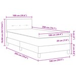 vidaXL Lit Box Spring avec Matelas Gris Clair 100x200 cm Velours