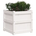 vidaXL Jardinières 2 Pièces blanc bois de pin massif
