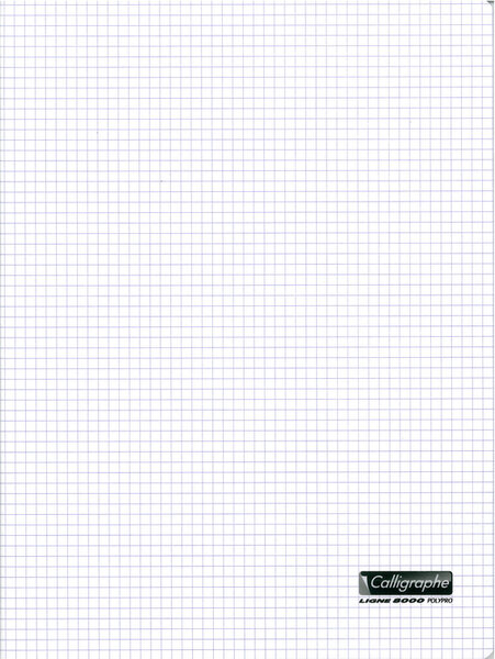 Cahier piqué POLYPRO 24x32cm 48p Q.5X5 90g Incolore CALLIGRAPHE