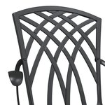 Chaises de jardin vidaXL 2 Pièces Aluminium coulé Noir
