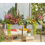 LECHUZA Jardinière BALCONERA Stone 80 ALL-IN-ONE Gris