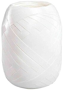 Ruban bolduc en pelote lisse 5 mm x 20 m blanc susy card
