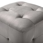 vidaXL 2 Pièces Poufs Gris 30 x 30 x 30 cm Tissu velours