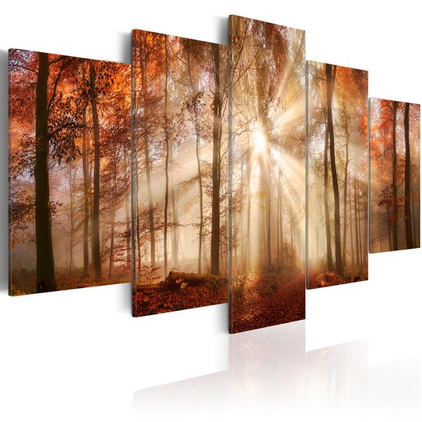Tableau - forest fog l x h en cm 100x50