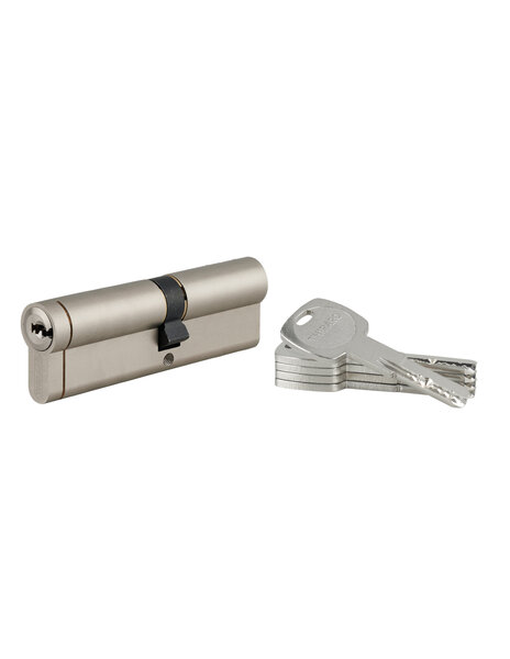 THIRARD - Cylindre de serrure débrayable Transit 1  40x60mm  5 clés  nickelé