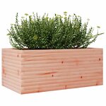 vidaXL Jardinière 110x60x45 5 cm bois massif de douglas