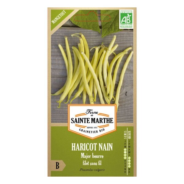 Haricots nain Major Beurre bio - Graines à semer