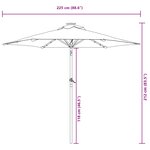 vidaXL Parasol de jardin avec LED mât en acier noir 225x225x212 cm