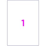 Boîte de 100 étiquettes multi-usage blanches 199,6 x 289,1 mm office star