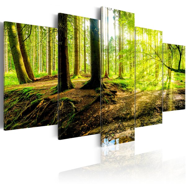 Tableau - poetry of a forest l x h en cm 100x50