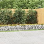 vidaXL Lit surélevé à gabions arqué 800x50x50 cm Fer galvanisé