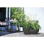 ELHO Bac a terrasse Vibia 80 - Gris anthracite - Extérieur - L 34,2 x W 77,4 x H 33,2 cm