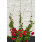 Nature Ensemble de treillis métallique pour plantes grimpantes 6040760