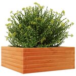 vidaXL Jardinière cire marron 60x60x23 cm bois de pin massif