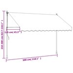 vidaXL Auvent rétractable anthracite 300x150 m tissu et acier