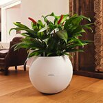 LECHUZA Jardinière PURO Color 50 ALL-IN-ONE diamètre 50 cm blanc
