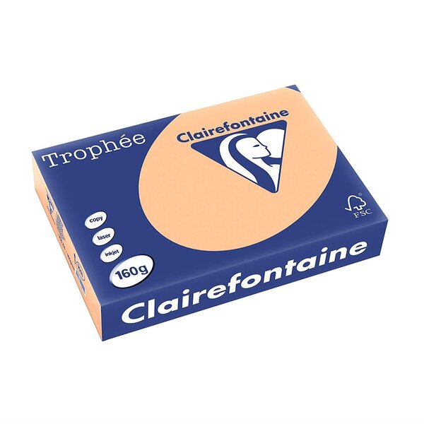 Ramette 250 Feuilles Papier 160g A4 210x297 mm Certifié FSC Abricot TROPHÉE