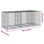 vidaXL Panier gabion avec couvercle 250x100x100 cm fer galvanisé