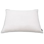 vidaXL Oreiller lot de 2 Remplissage de duvet léger 70 x 60 cm Blanc