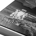 Pièce de monnaie en Argent - Cuivre 10000 Francs g 77.75 (2.5 oz) Ag - 750 (24.11 oz) Zn - 120 (3.85 oz) Cu Millésime 2024 Van Gogh Tri-Metal WHEAT FIELD WITH CYPRESSES