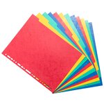 Intercalaires Carte Lustrée 225g 12 Positions - Format 24x32cm - Couleurs Assorties - X 5 - Exacompta