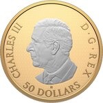 Pièce de monnaie en Argent 50 Dollars g 155.5 (5 oz) Millésime 2025 MAPLE LEAVES IN MOTION