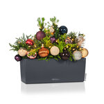 LECHUZA Jardinière Balconera Color 50 ALL-IN-ONE Ardoise 15673