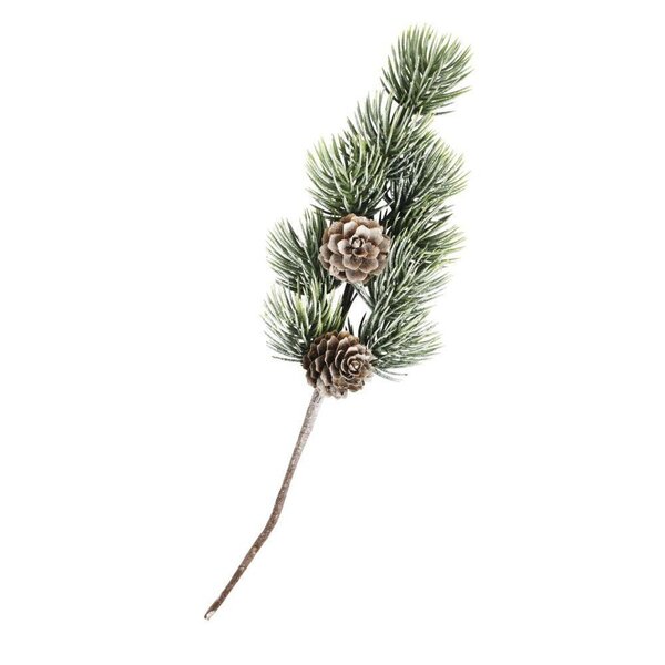 5 rameaux de sapin avec pigne 24 cm