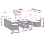 vidaXL Canapé de jardin 10 pièces avec coussins en rotin noir