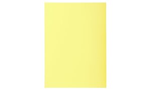 Paquet de 100 sous-chemises SUPER 60g 22x31cm Canari EXACOMPTA