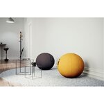 Ballon d'assise ergonomique ALBA move HOP noir