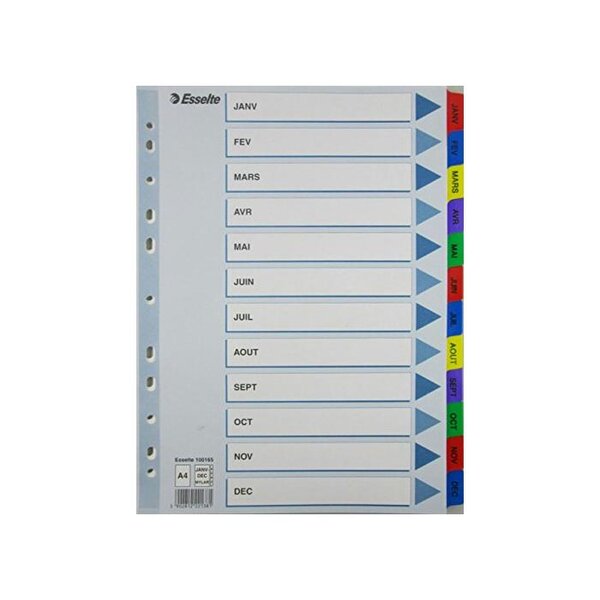 Intercalaires répertoire mensuel A4 Mylar12 onglets Couleurs imprimés ESSELTE