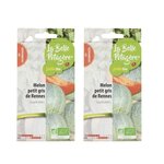 Graines à semer - Melon Petit gris de Rennes - 1 2 g