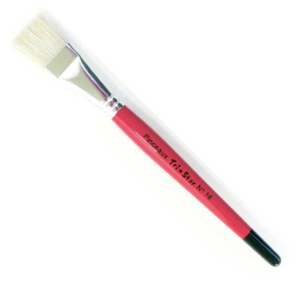 Brosse Plate Soie de Porc n°18 - lot de 10 brosses