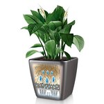 LECHUZA Jardinière de table QUADRO LS 21 ALL-IN-ONE Charbon métallique
