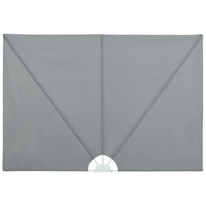 vidaXL Auvent latéral pliable de terrasse Gris 300 x 150 cm
