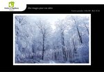 Lot de 6 cartes postales - hiver 1 - photos frédéric engel