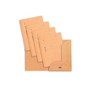 Lot de 25 Sous dossiers chemise 2 rabats HV 240g Saumon L'OBLIQUE AZ