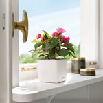 Lechuza jardinière de table cube color 16 all-in-one blanc
