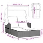 vidaXL Chaise longue double et auvent et coussins gris résine tressée