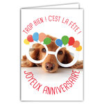 Carte Joyeux Anniversaire Humoristique avec Enveloppe Illustrée format 17 5x12cm Chien Drôle Amusant Rigolo Déguisé avec des Lunettes pour faire la Fête - Création Fabrication française 69-6201